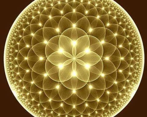 12063563_10206525713079520_2264144971569938262_n